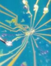 מעבדת מימדים נמוכים